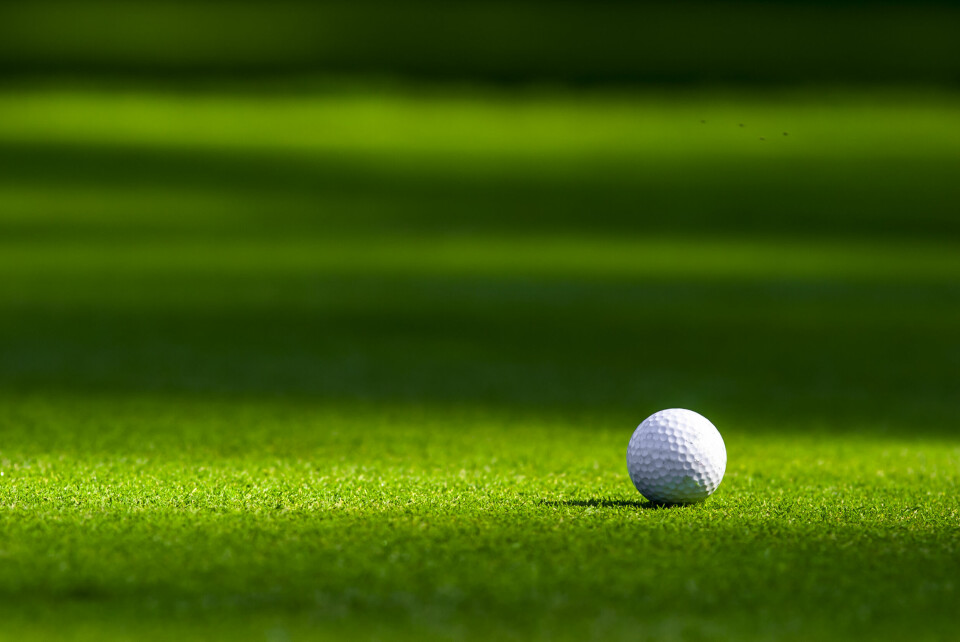 an image of a golf ball on a green