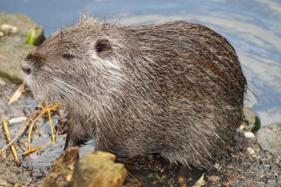 Franzisca Guedel / Shutterstock