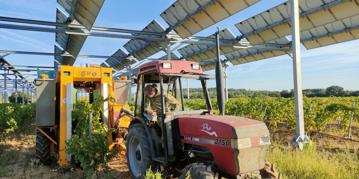 France imposes regulations on use of solar panels on farms