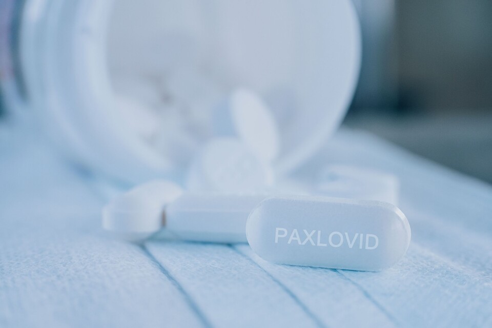KSai23 / Shutterstock A white tablet on a table with the word Paxlovid written on it