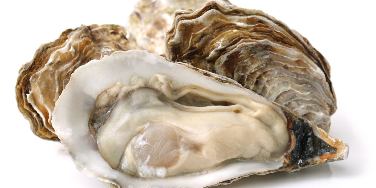 Recap: contaminated oysters and seafood recalled in france
