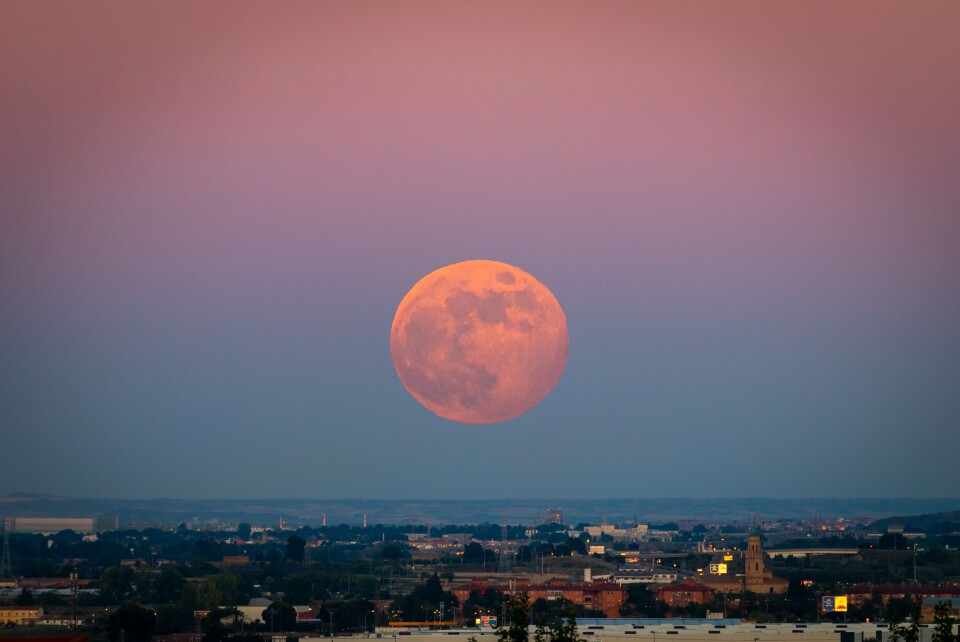 Ivan Morato photography / Shutterstock