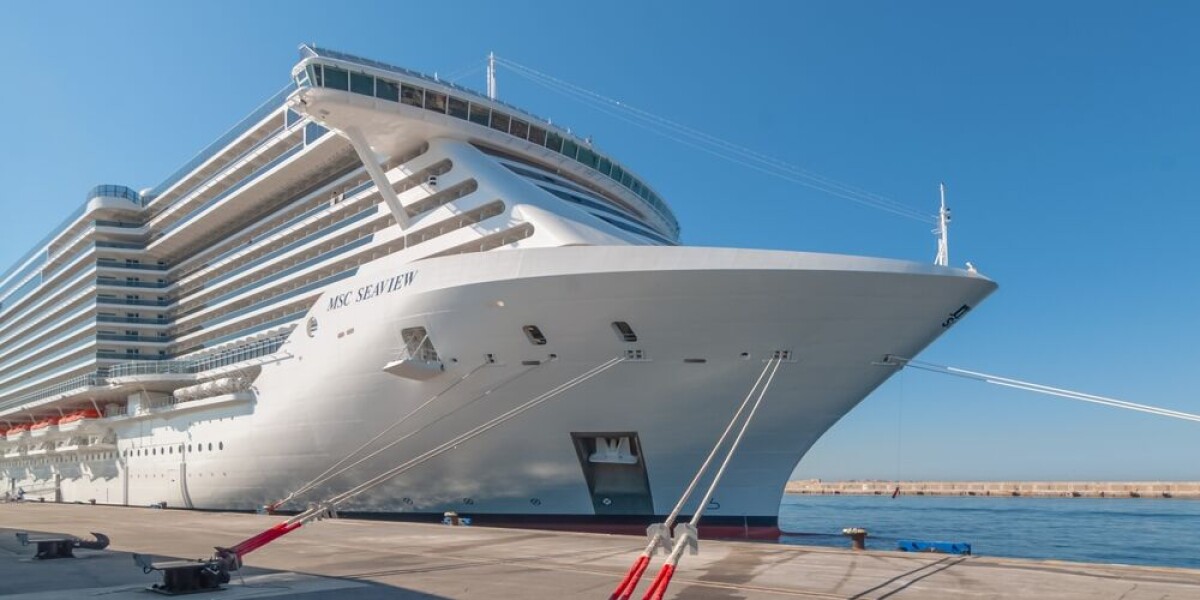 Cruise passengers booed by environmentalists on arrival in brittany