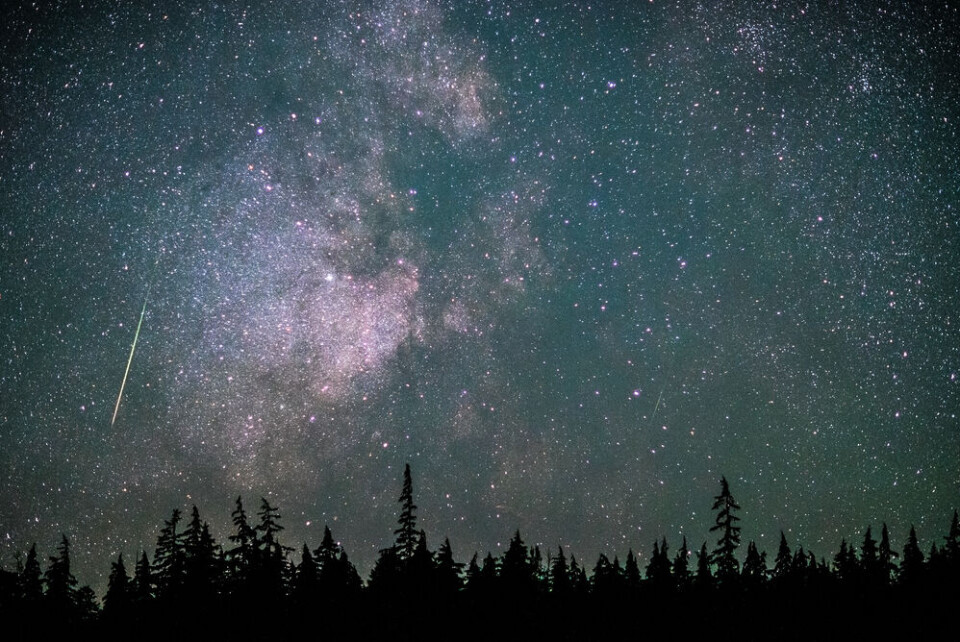 Heartwood Films / Shutterstock A view of a shooting star in the night sky during a Perseids meteor shower