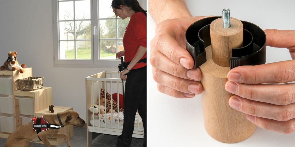How sniffer dogs and ‘catch cups’ help fight against bedbugs in france