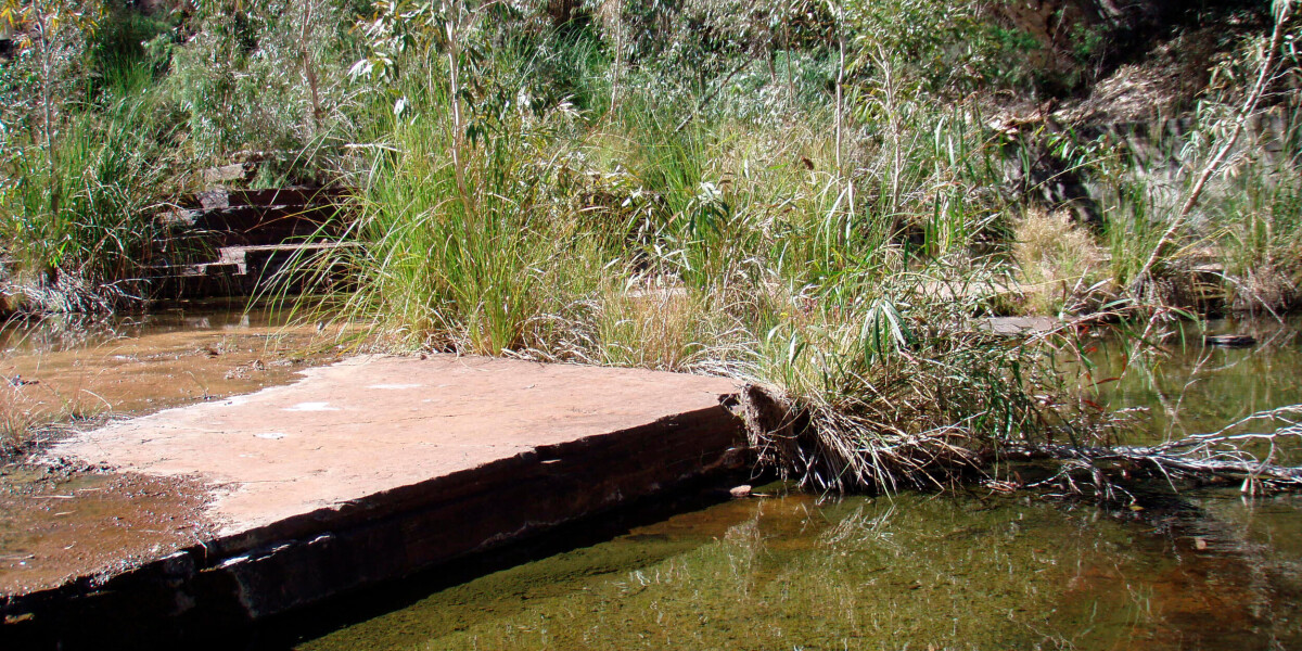 Can i make my french neighbours drain stagnant water from their land?