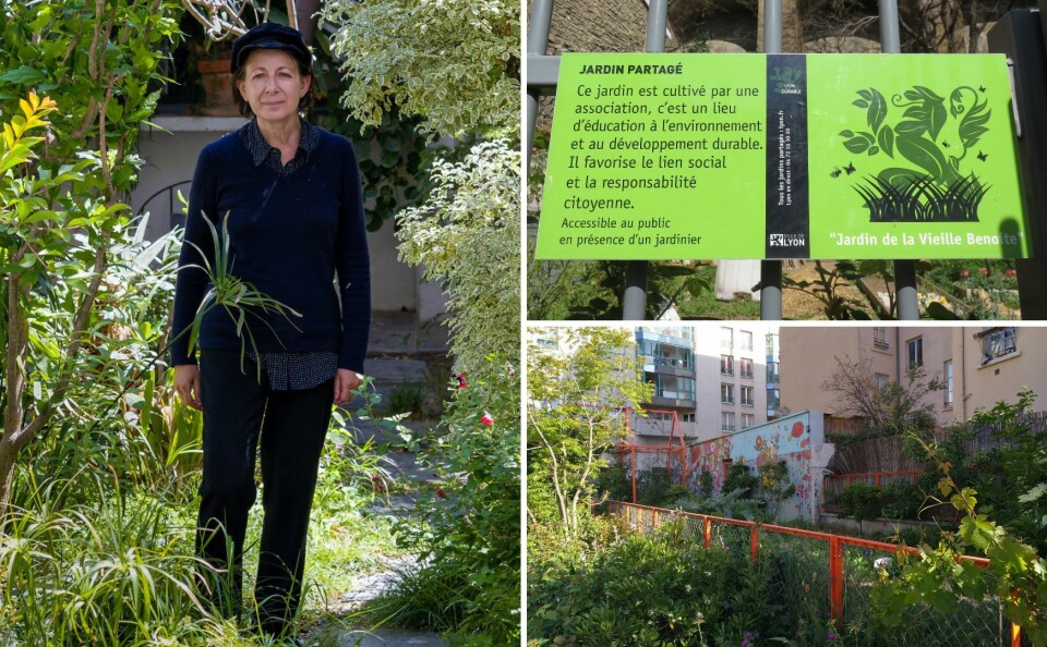 Joëlle Zask, community gardens in Lyon