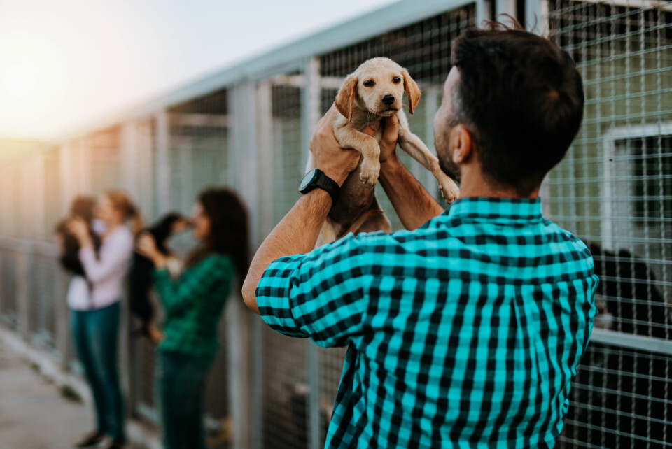 man hold puppy at animal shelter