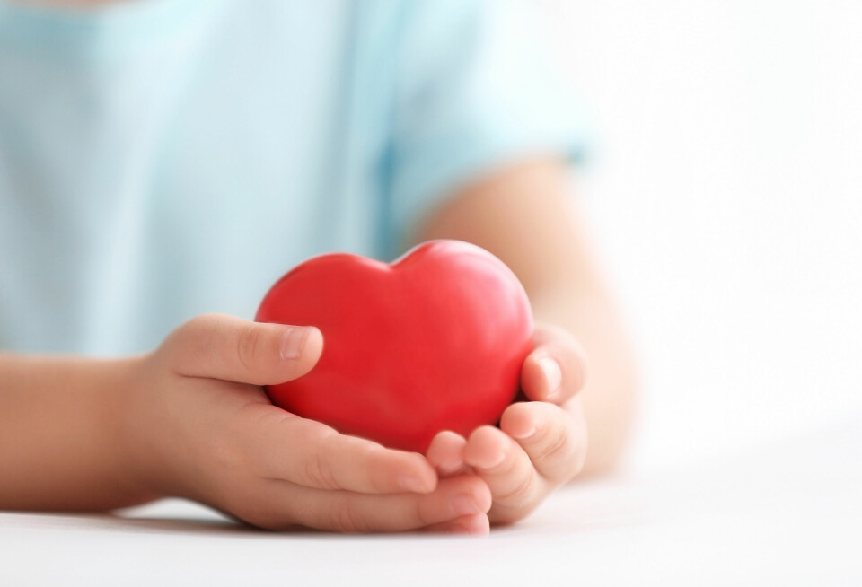 Child holds a model of a red heart