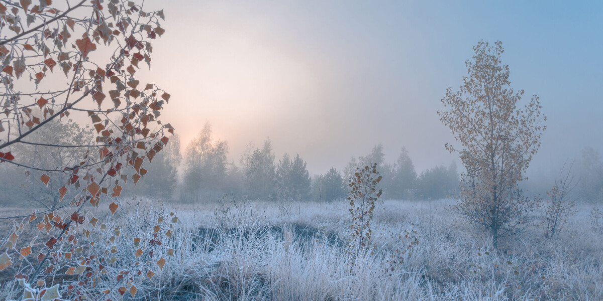 Sun to stay for many areas: french weekend weather outlook december 28 - 29