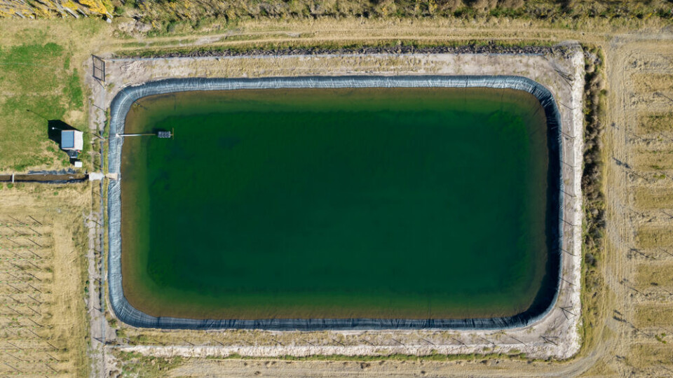 An aerial view of a farming reservoir