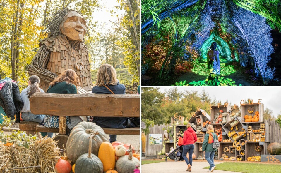 Terra Botanica