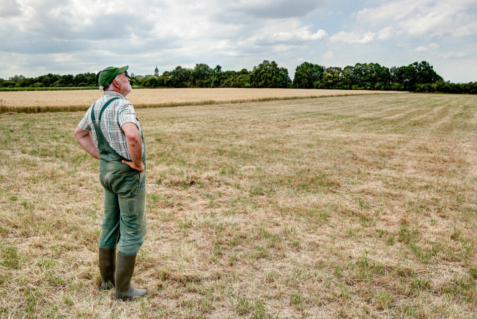 A farmer stands on his dry meadow, looking up at the sky