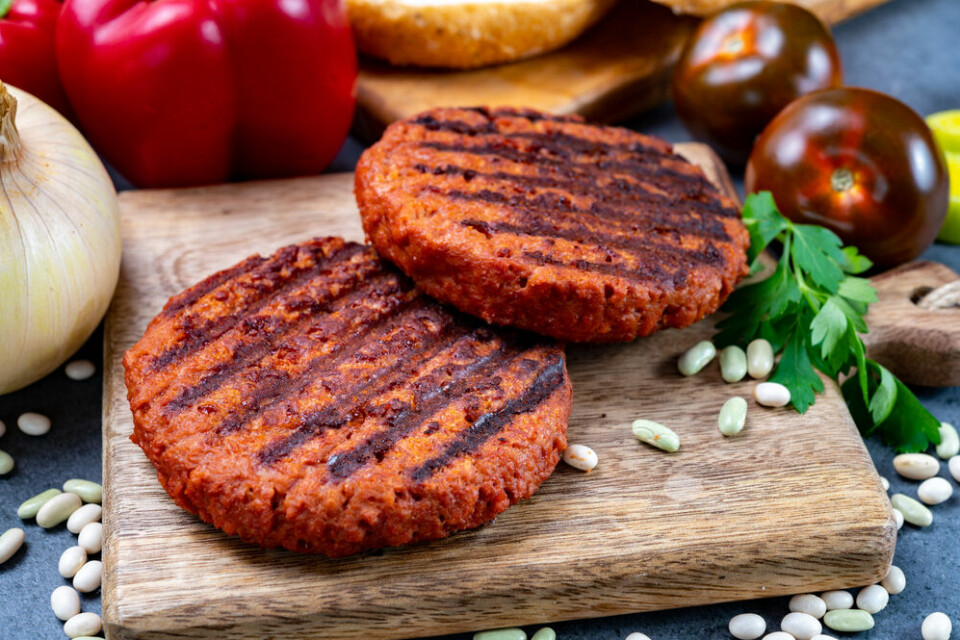 Carrefour is launching a Vegetarian Butcher plant-based meat range