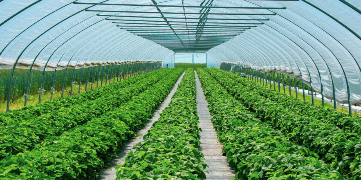 Mild winter in france wreaks havoc on fruit producers and in gardens