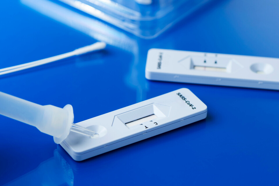 A close-up photo of two antigen tests against a blue background