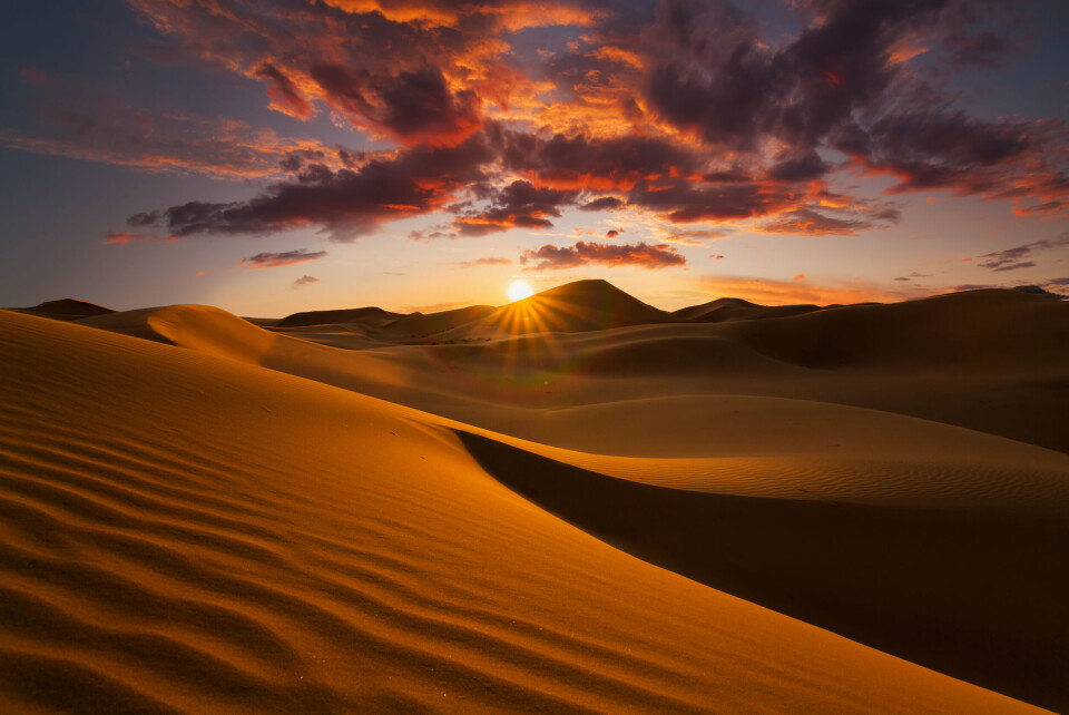 Anton Petrus / Shutterstock A photo of dunes in the Sahara desert