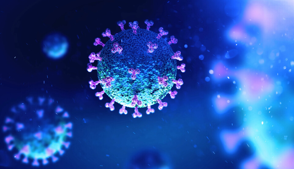 An image of coronavirus under the microscope