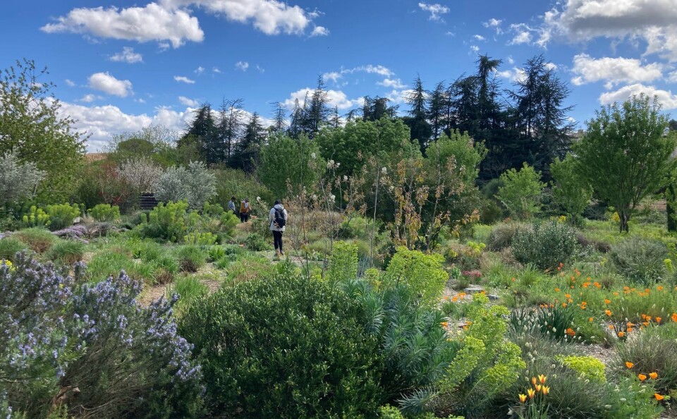 Le Jardin Champêtre