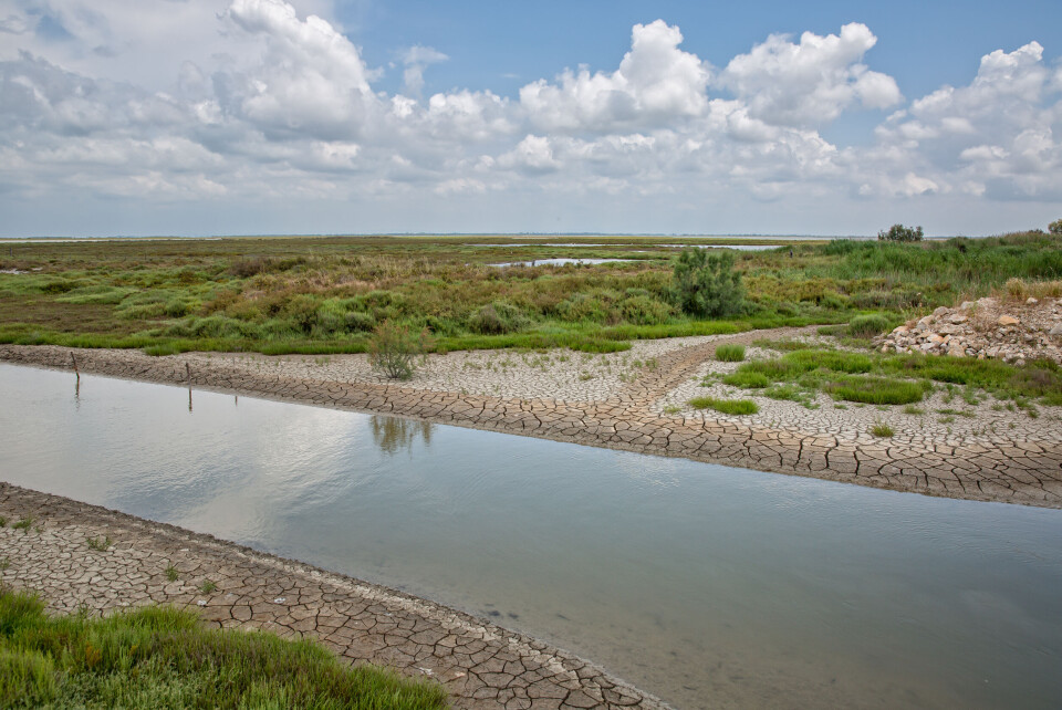 Krisztian Juhasz / Shutterstock A photo of a dry river in the Camargue, France