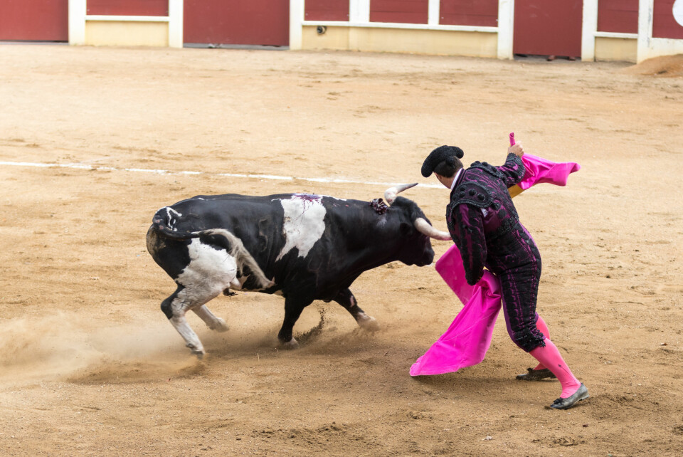 A photo of a bullfight taking place with a matador and a charging bull