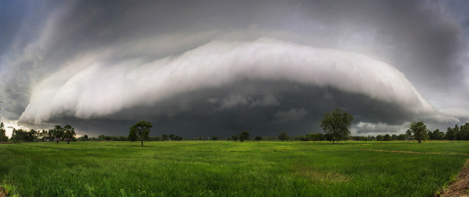 A photo of an arcus cloud above a field