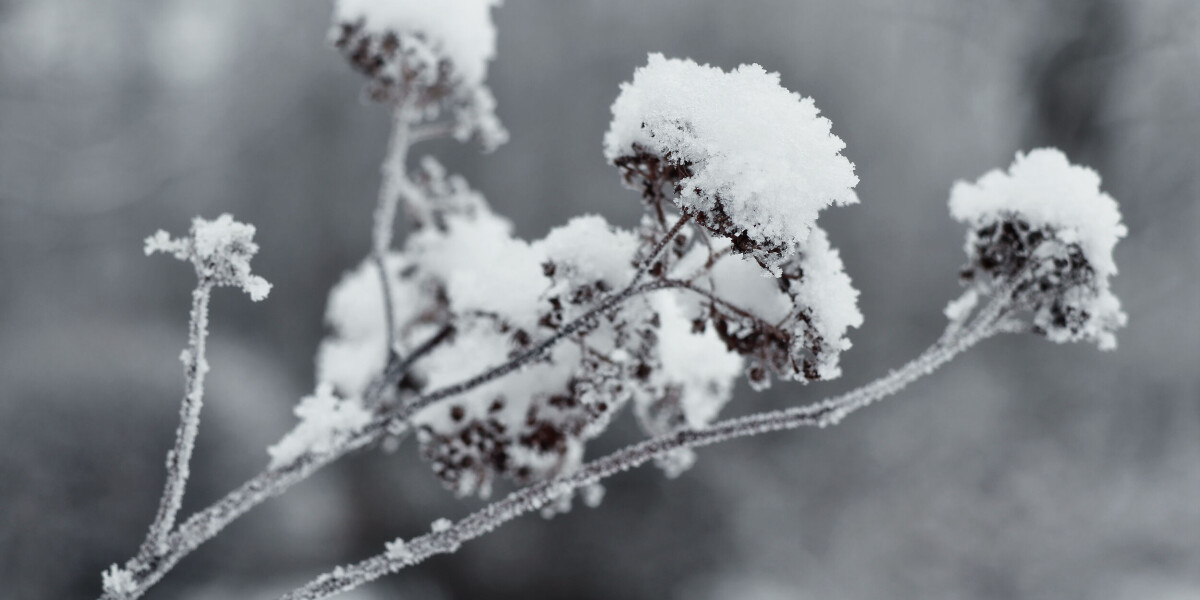 In pictures: first snow of this winter falls on many parts of france
