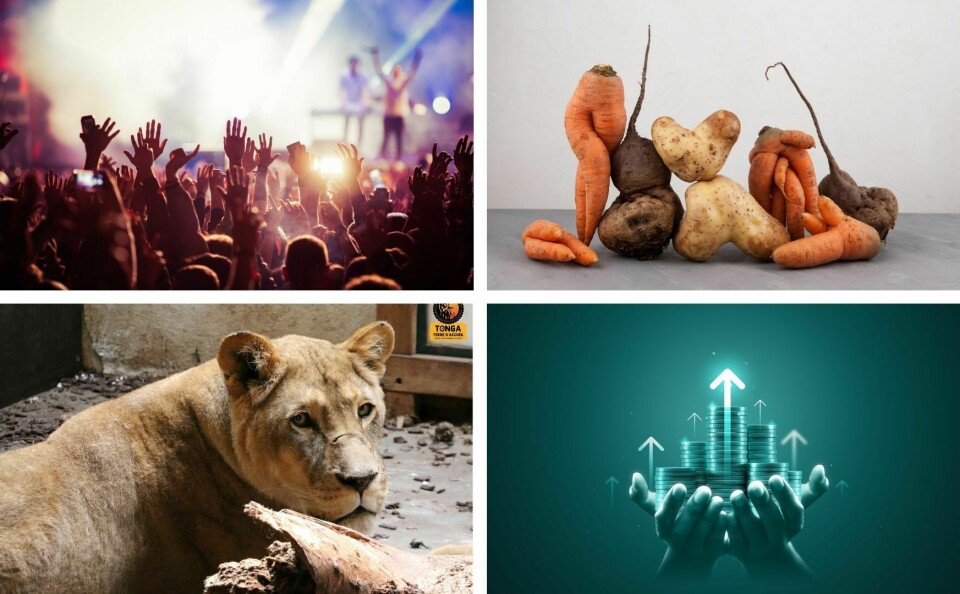 A four-way photo showing, clockwise, a music concert, ugly vegetables, a lion and a graphic representing economic growth
