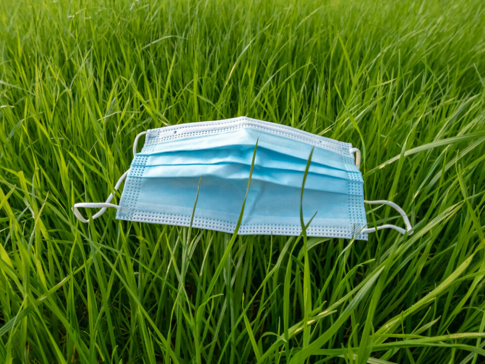 A surgical mask laying on grass