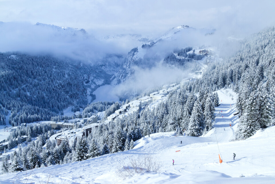 Yolanta / Shutterstock