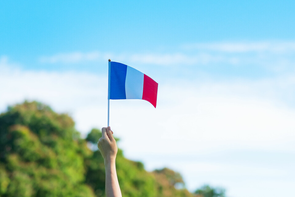 A hand holding up a French flag in a blue sky