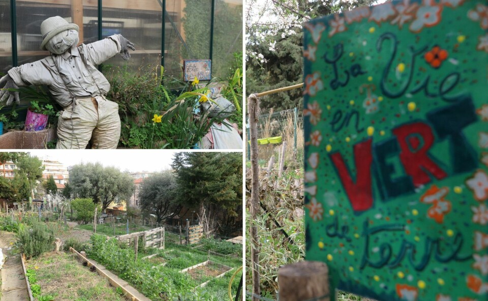 Théophile Larcher Community garden in Nice France