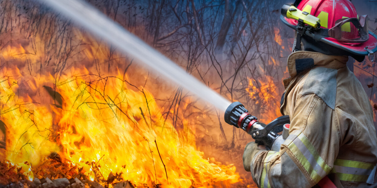 Wildfires in france: less destruction in 2024 but plea for more resources