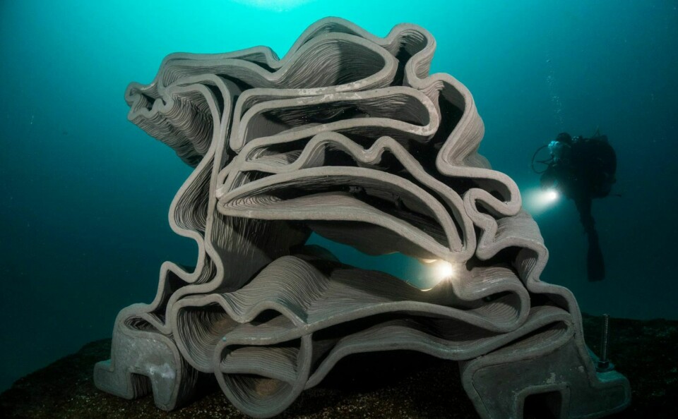 3D printed reef