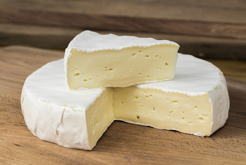 A close up of a camembert cheese