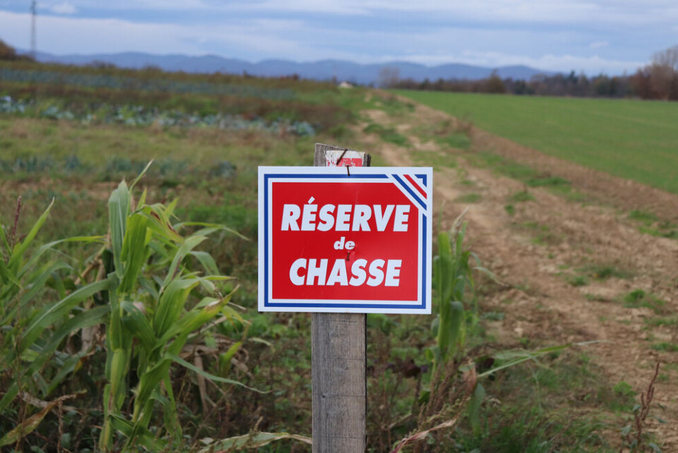 A photo of a red sign in France saying “reserve de chasse”