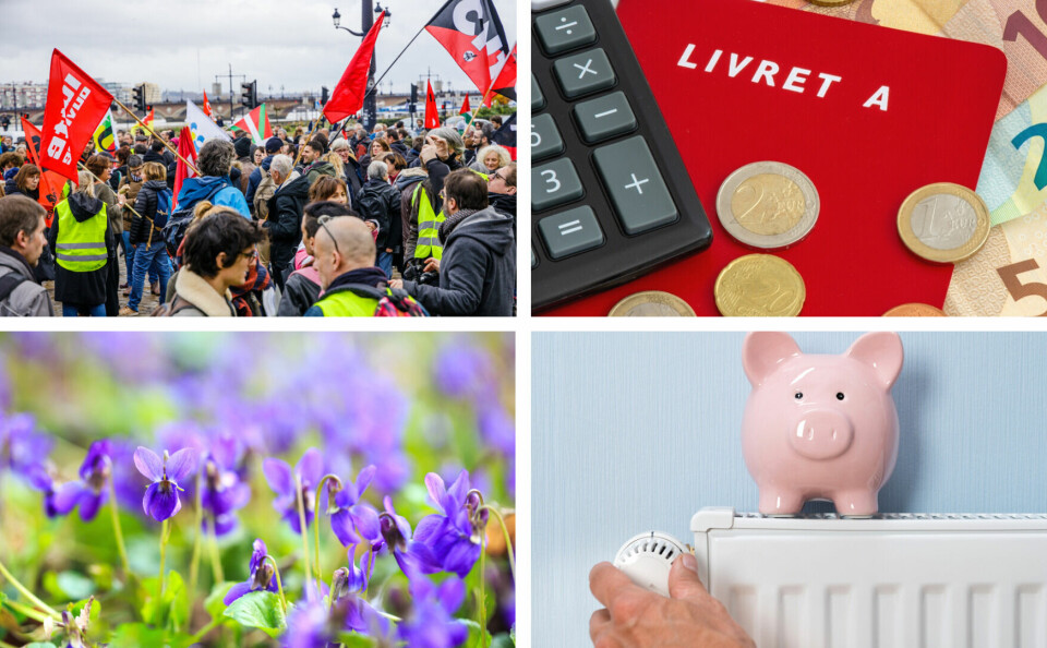 A four-part photo of pension strikes, the Livret A account, violette flowers, and a piggy bank on a radiator to show rising energy costs
