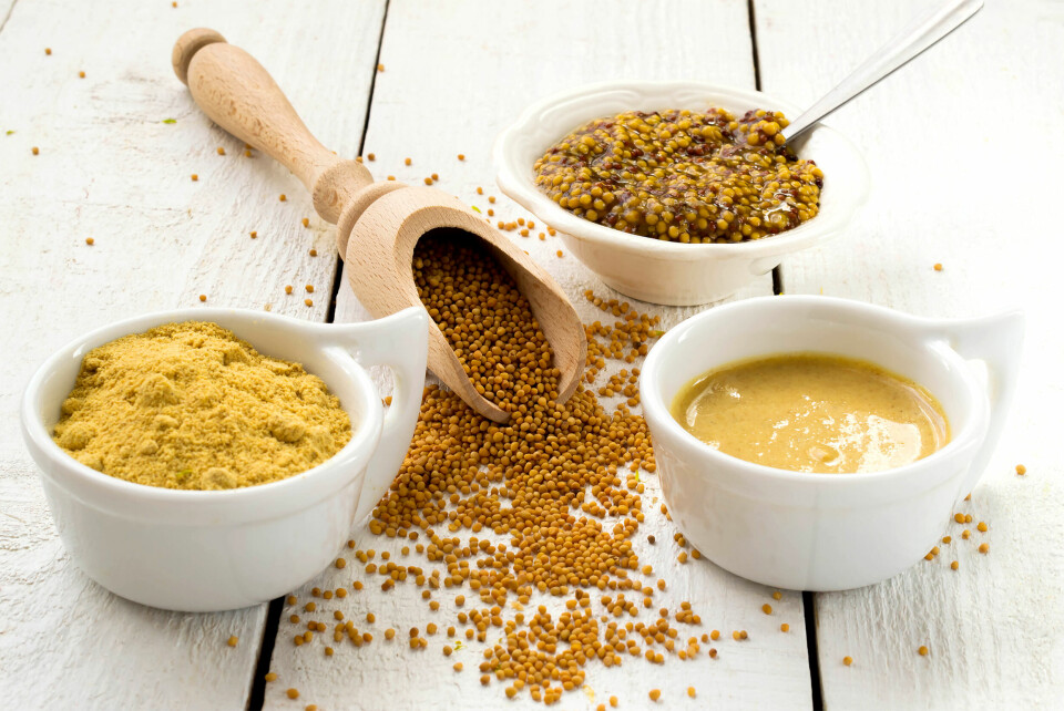A photo of mustard powder and seeds on a white table to show condiments