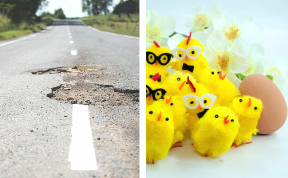 A split image with a road pothole on one side and fluffy chicks on the other