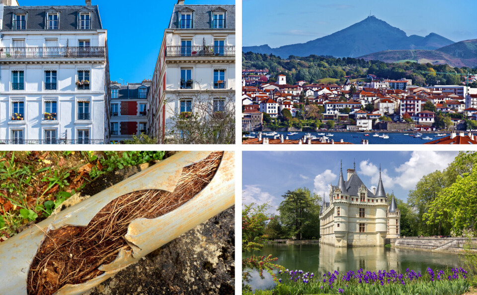 Stephen Farhall / Julen Arabaolaza / Sasha64f / Pascale Gueret / Shutterstock