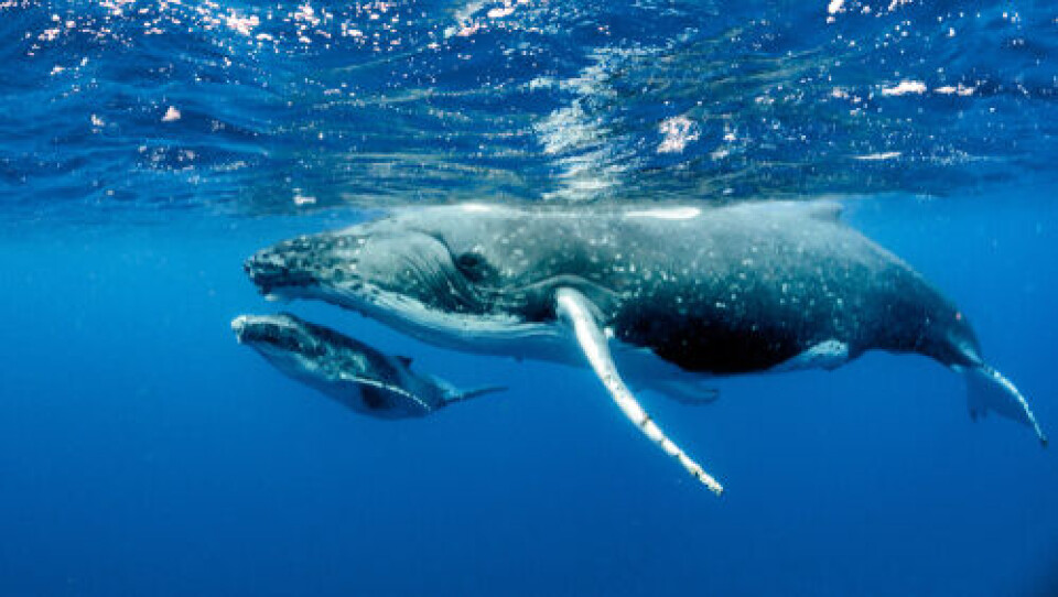 Imagine Earth Photography / Shutterstock