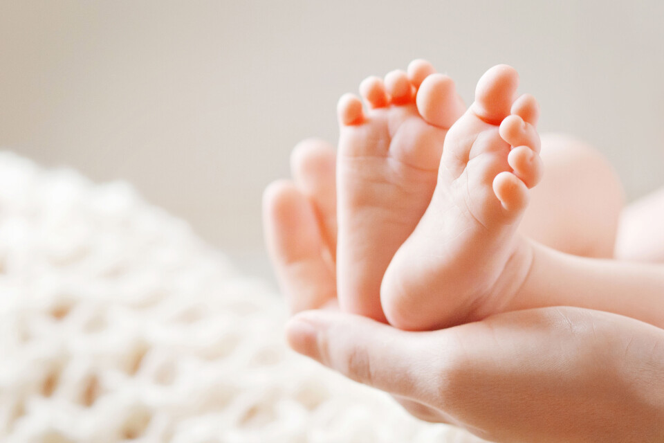 Liudmila Fadzeyeva / Shutterstock