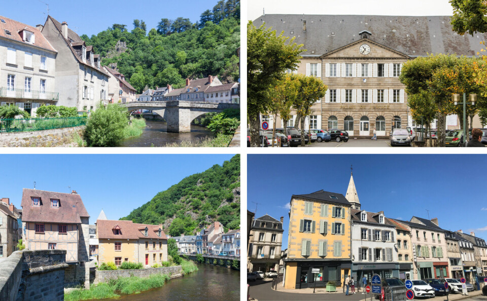 Rene Gabrielli; Gozzoli ; Gozzoli ; McCormick French / Shutterstock