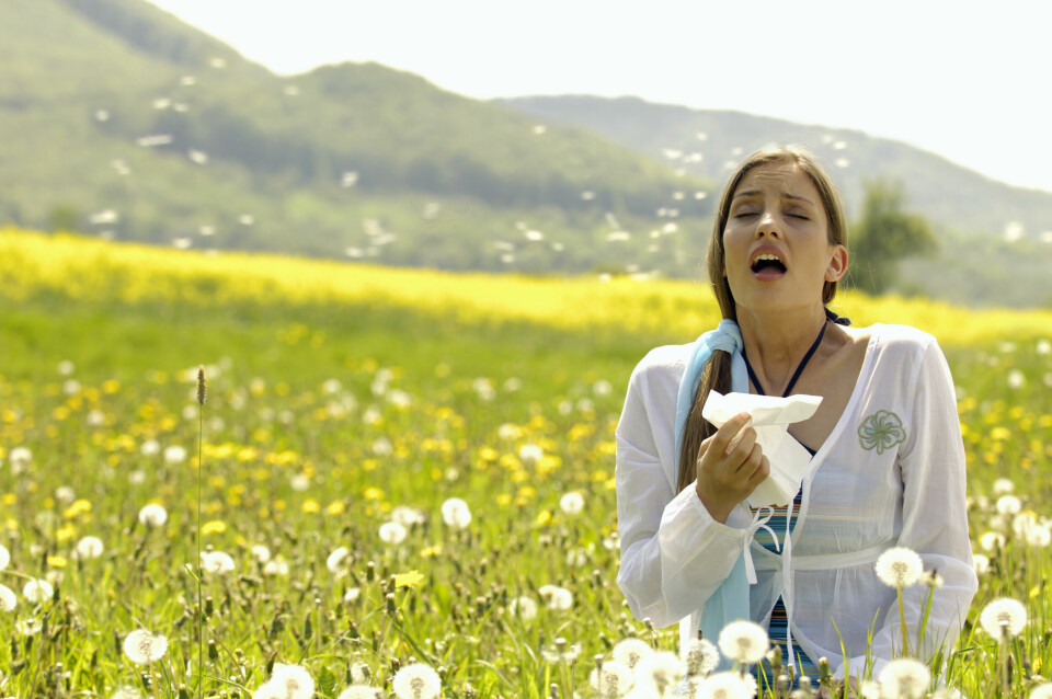 A woman in a field sneezing into a tissue