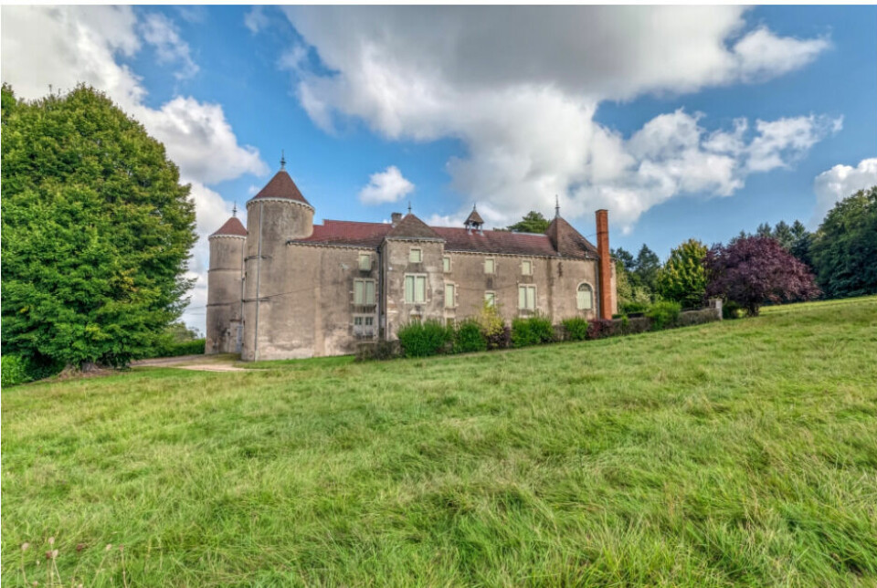 The chateau for sale via auction at Agorastore.fr