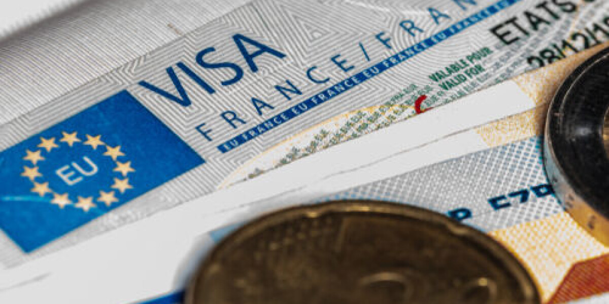 How do you validate a vls-ts visa when coming to france?