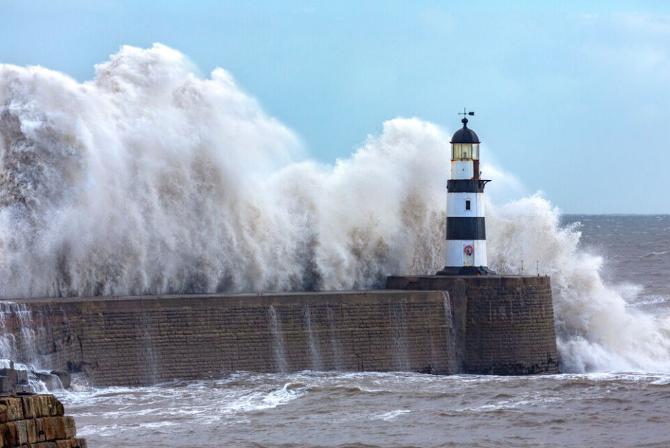 Steve Allen / Shutterstock