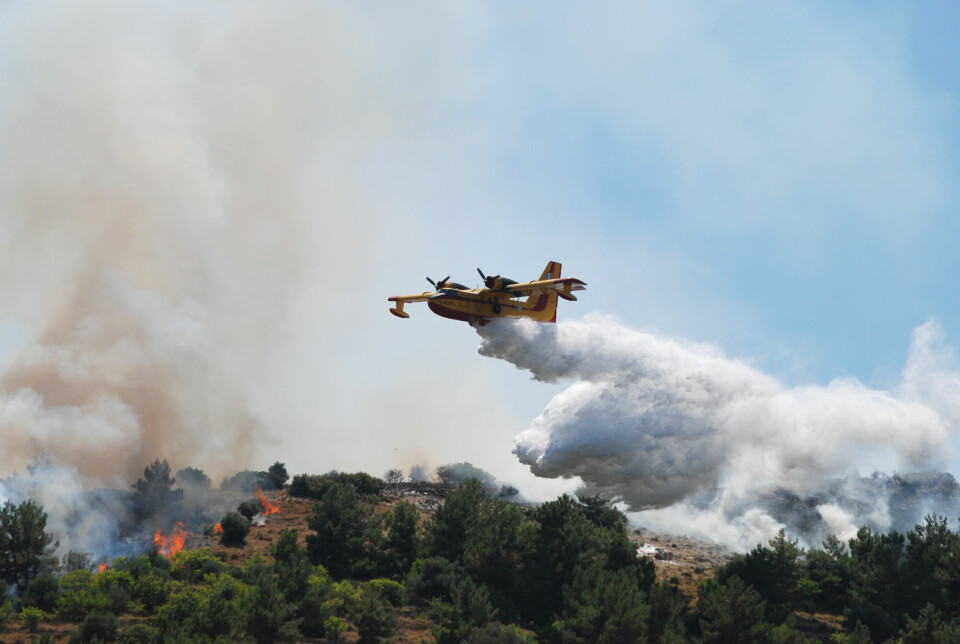A Canadair making a drop over a burning forest