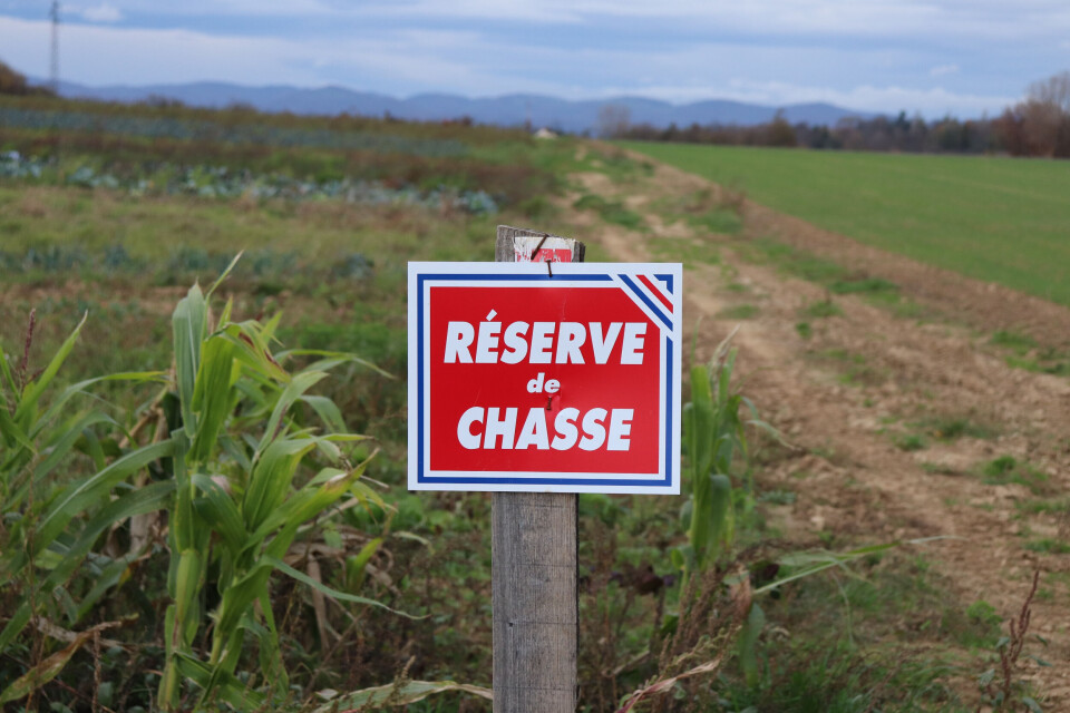 A photo of a sign in France saying Reserve de Chasse (hunting reserve) to show a hunting area