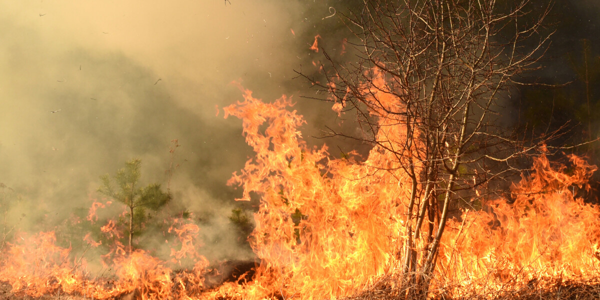 ‘Biggest wildfire in France since 1949:’ Massive Aude blaze rages into third day